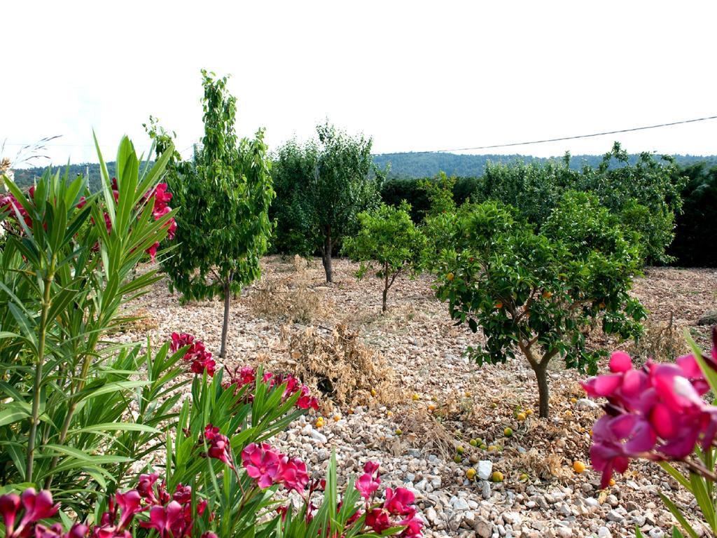 B&B La Formichina Пескичи Экстерьер фото
