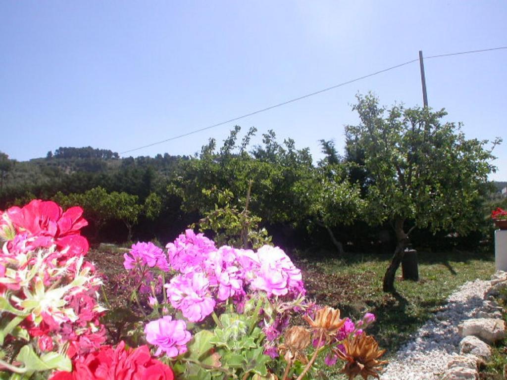 B&B La Formichina Пескичи Экстерьер фото